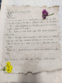 /album/galeria-de-fotos-cartas-de-amor-a-moda-de-com-camoes/img-20250421-wa0009-jpg/